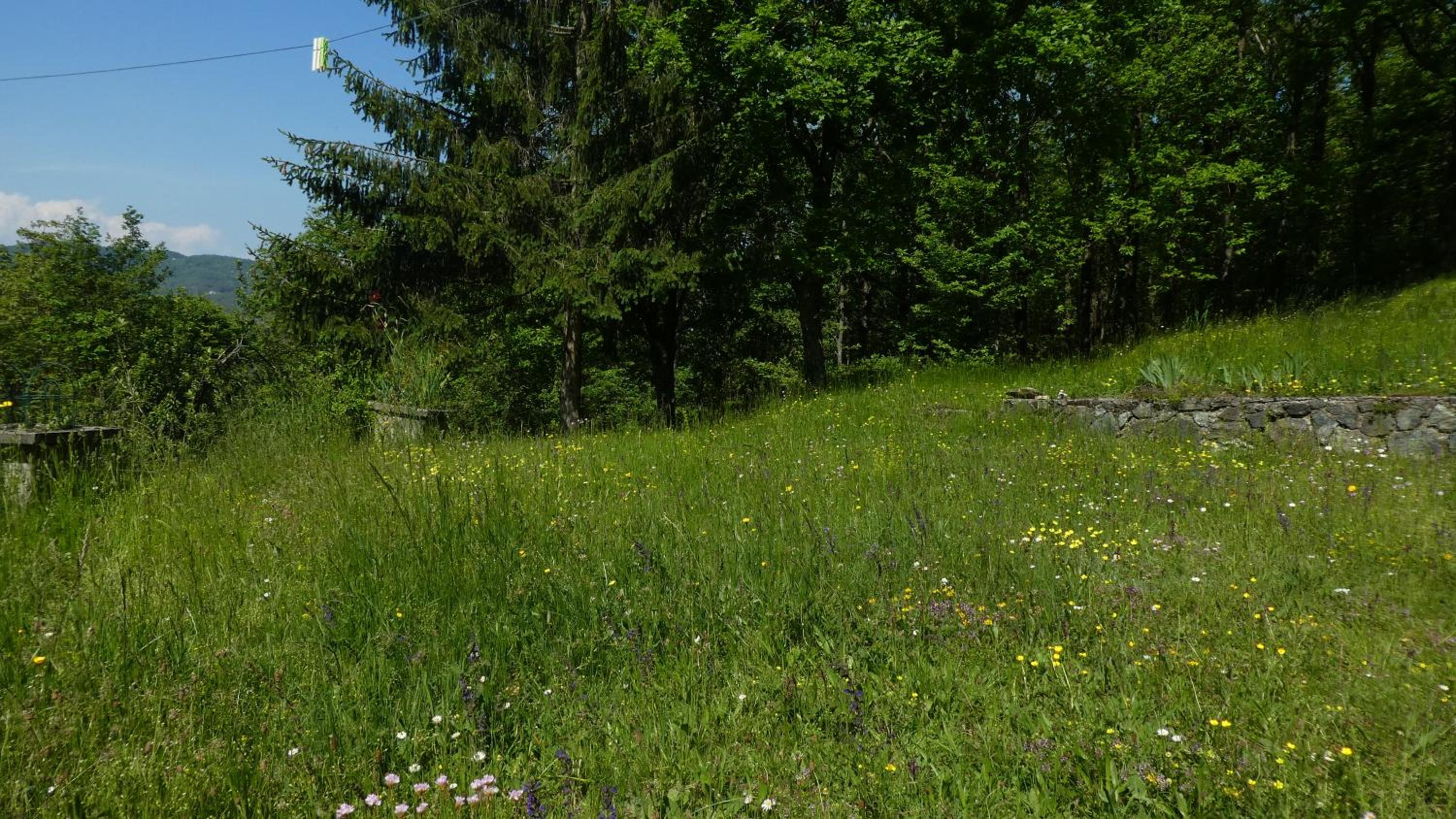 Photo 35