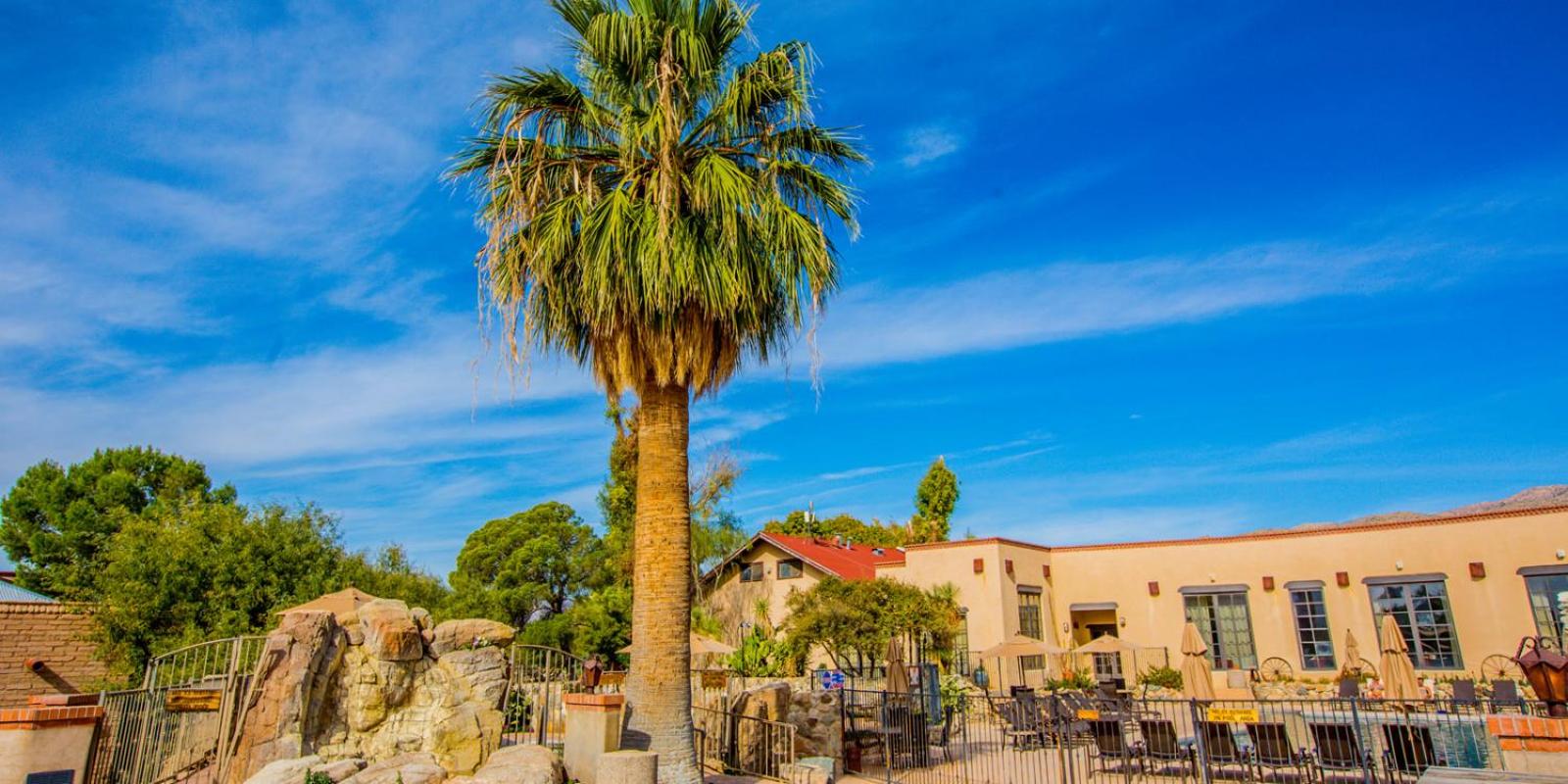 Tanque Verde Guest Ranch