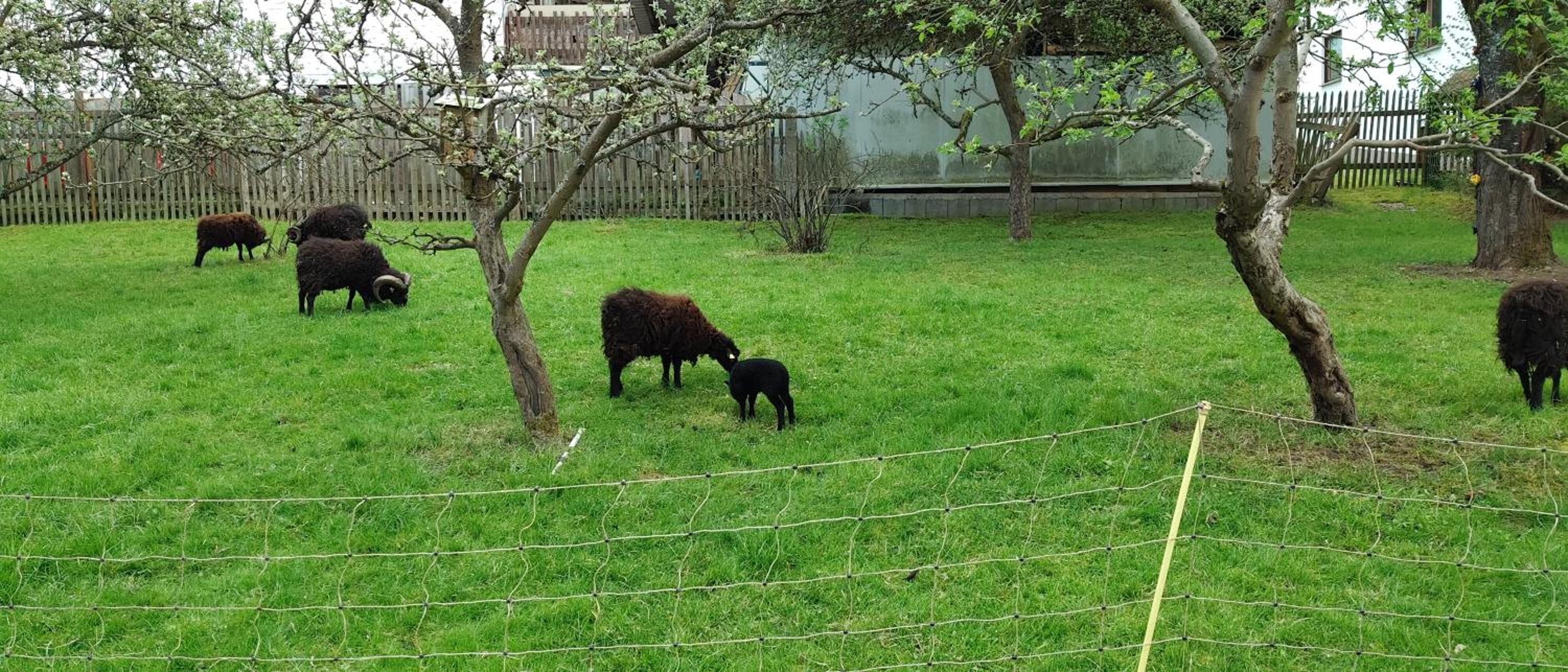 Seßles Waldhäuschen Dietzhausen