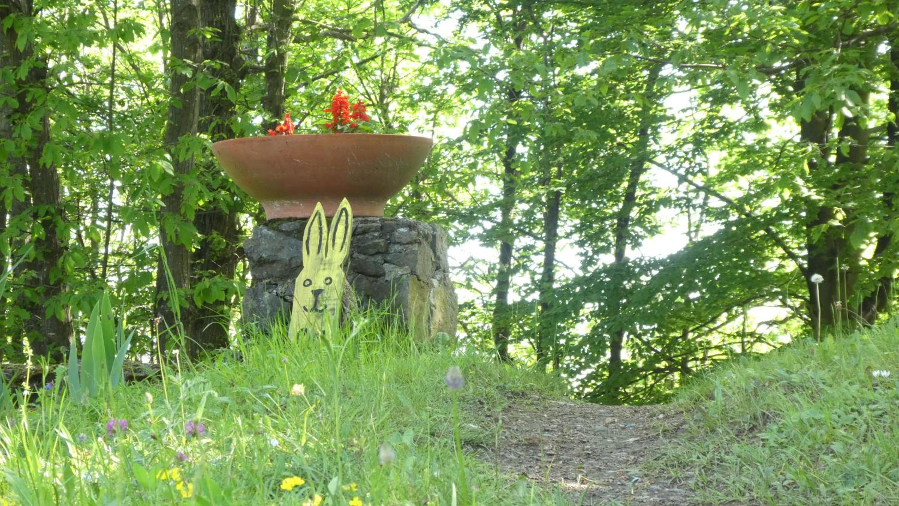 Photo 44