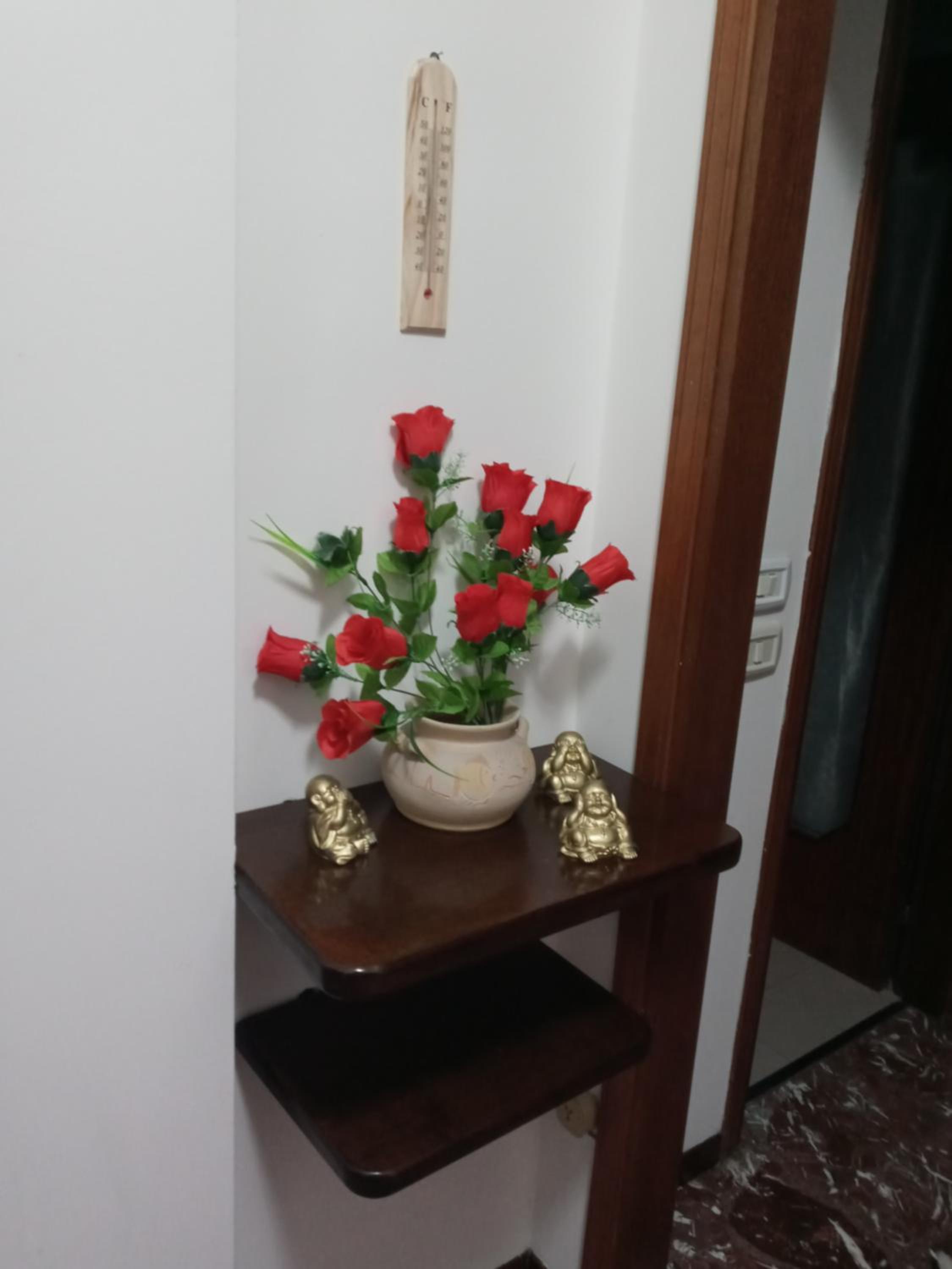 Casa SARA FIDENZA