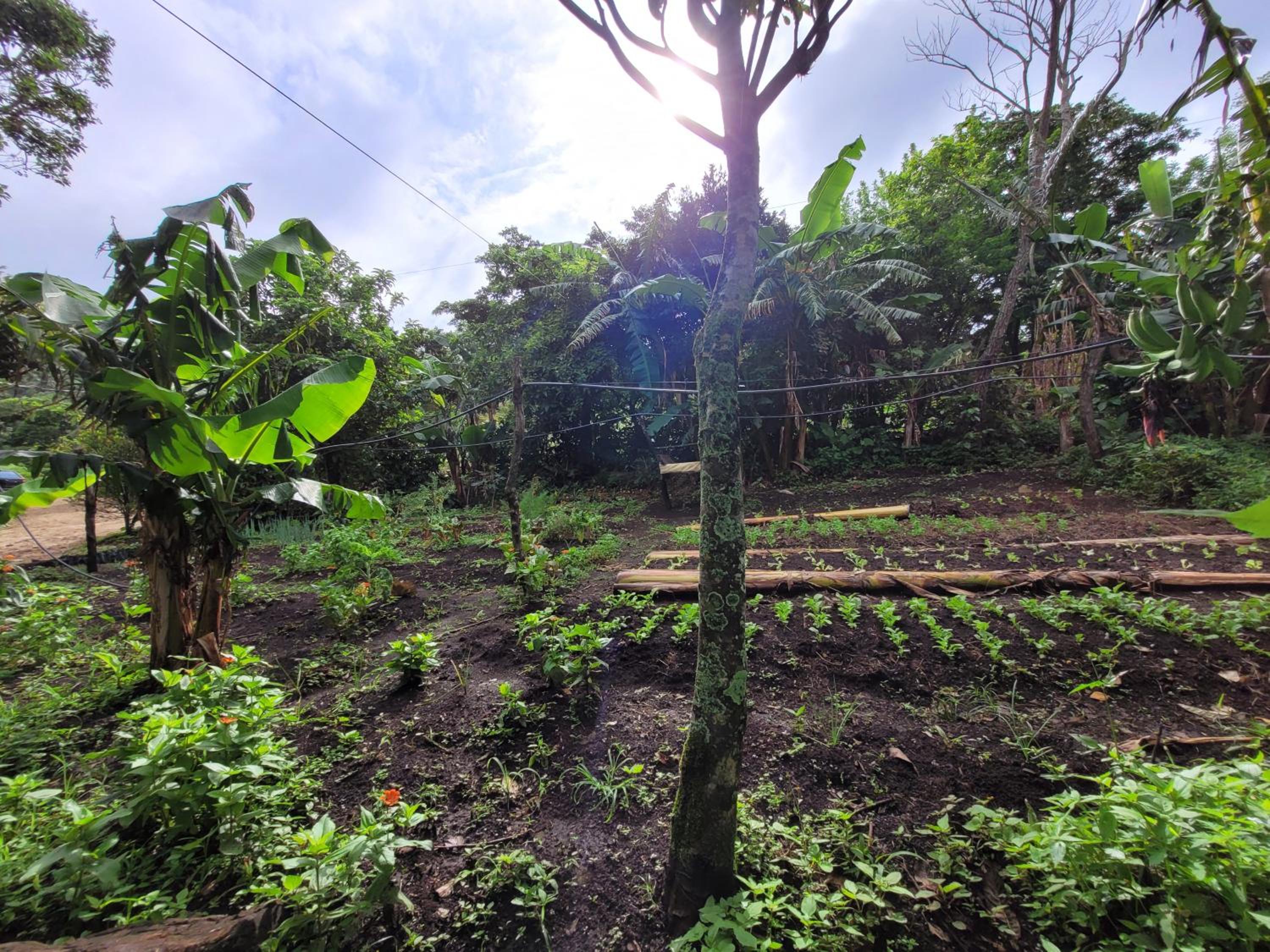 Granja los Campesinos