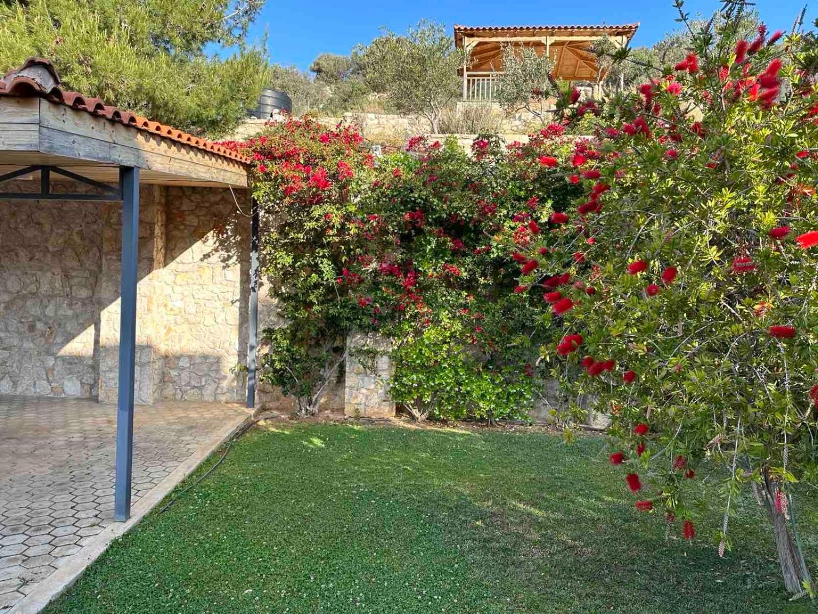 Villa Afroditi