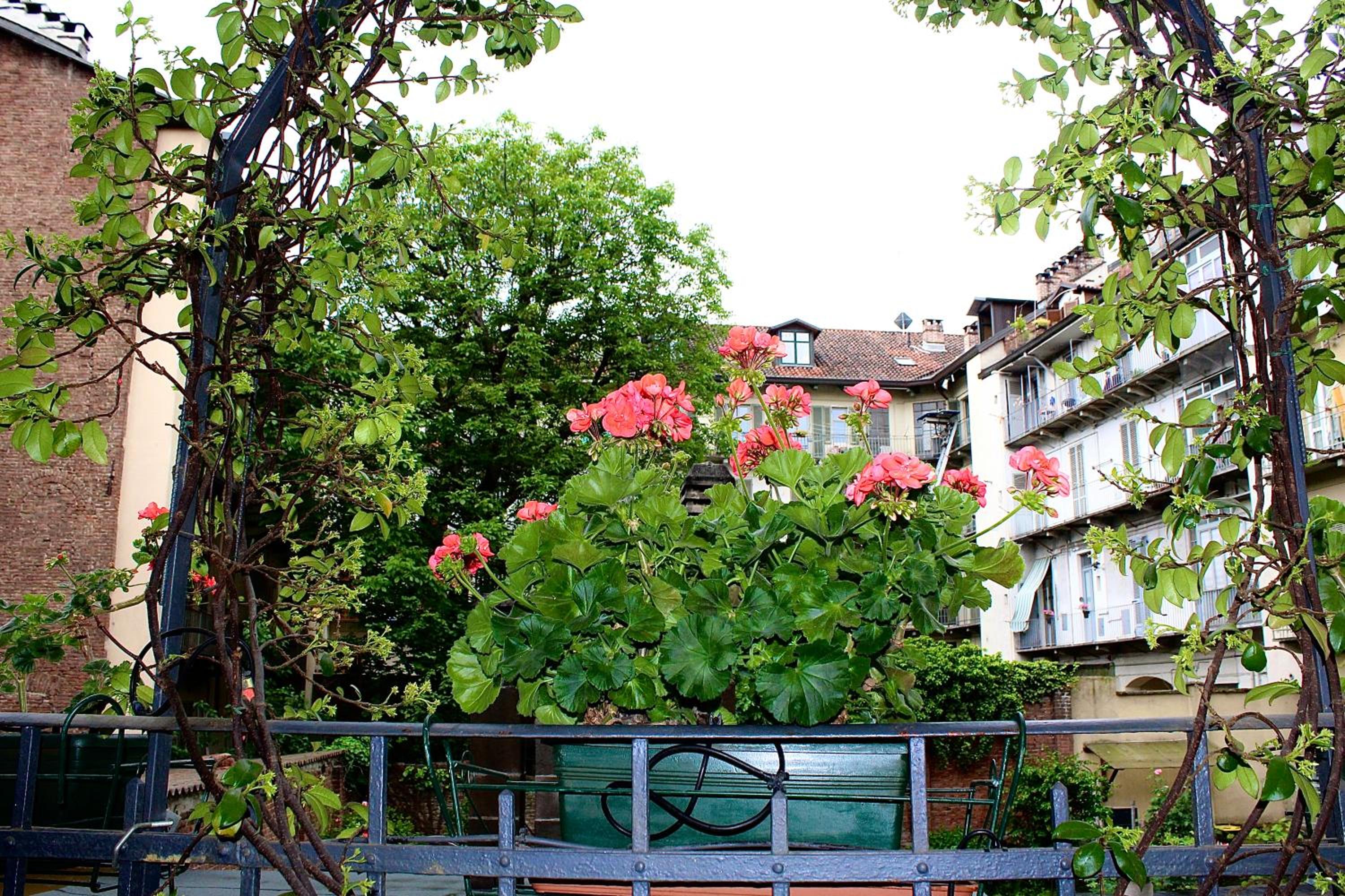Exquisitely renovated and centrally located apartment with free parking view 2