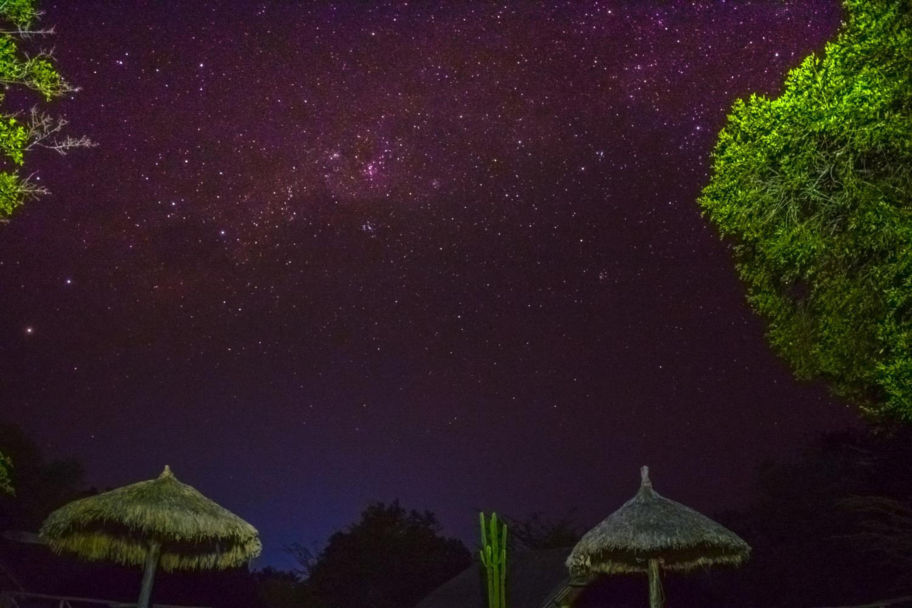 Africa Safari Selous Camping view 3