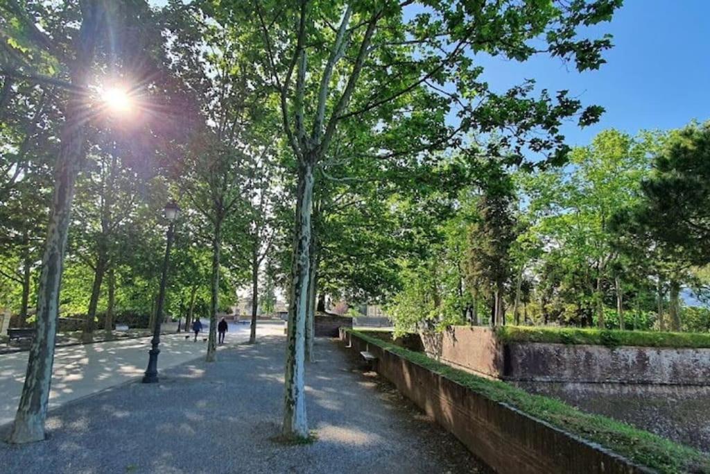Residenza Otello