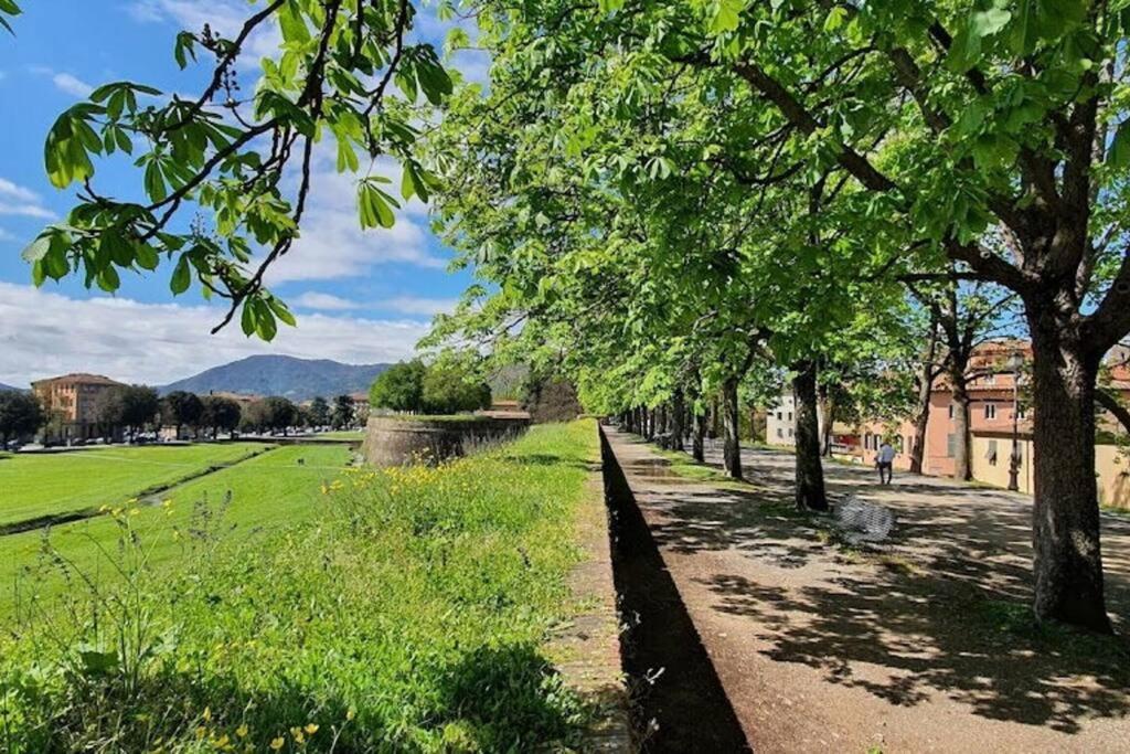 Residenza Otello