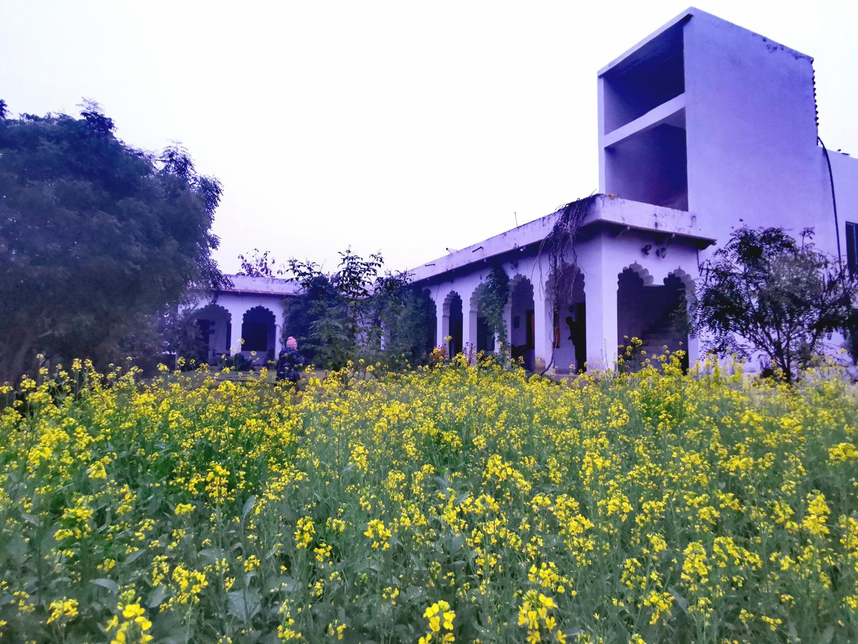 building