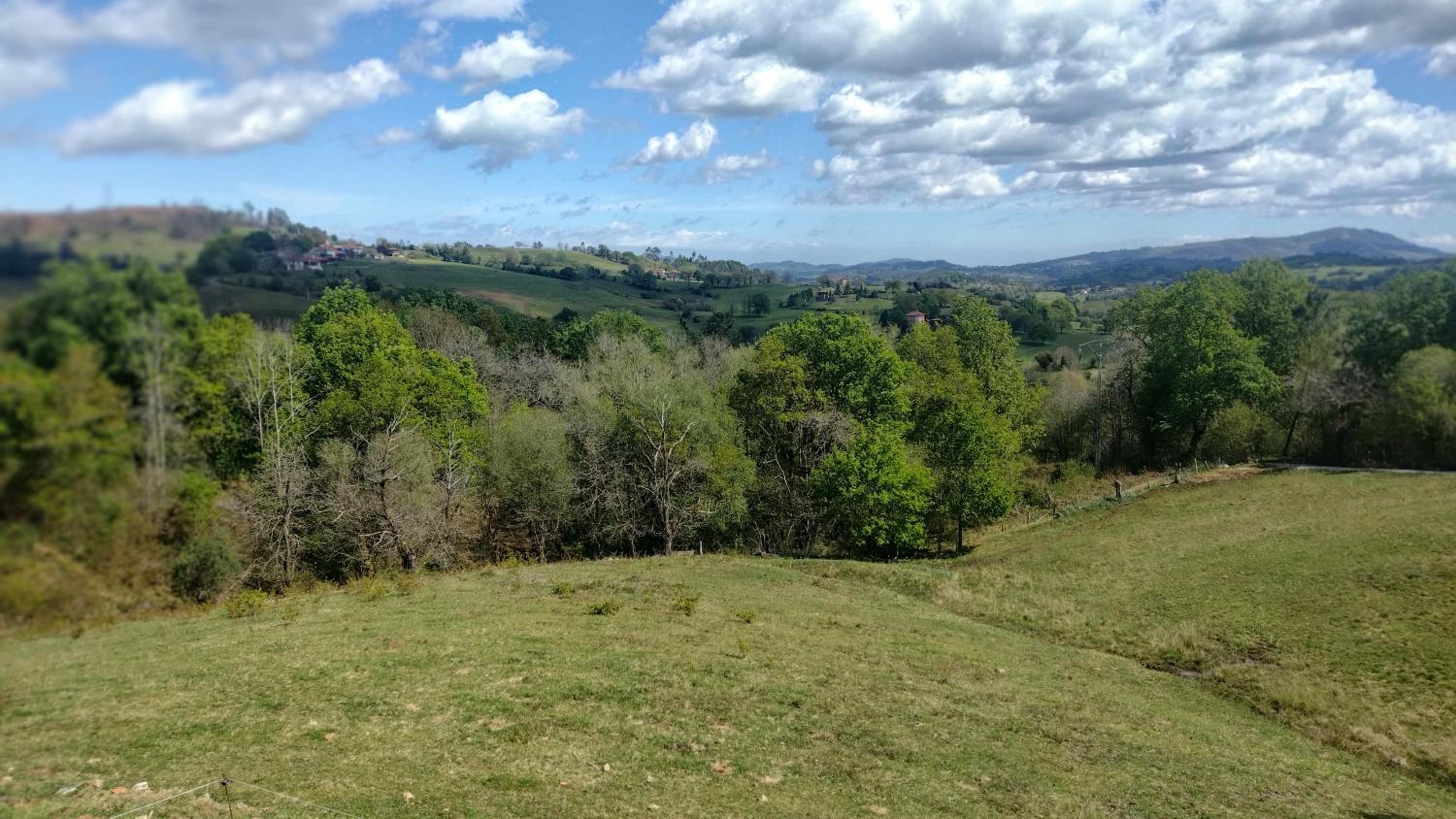 Casa Rural Tulia