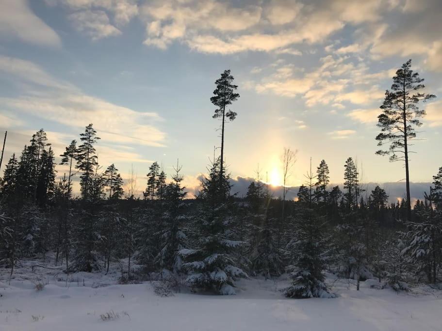 Sommardröm