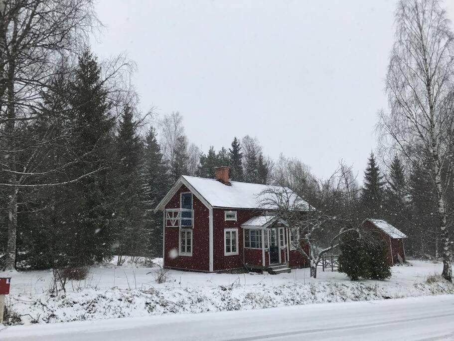 Sommardröm