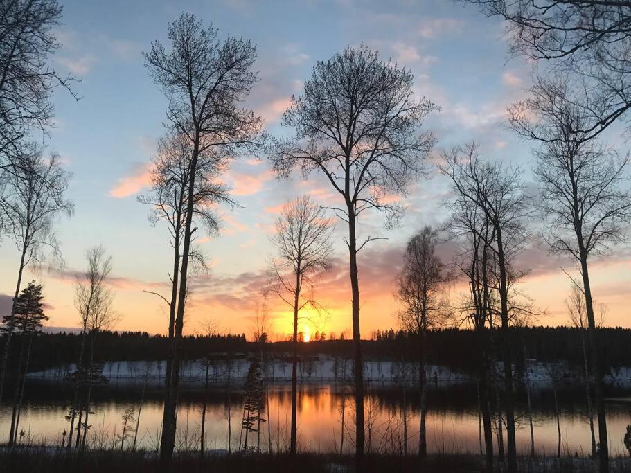 Sommardröm