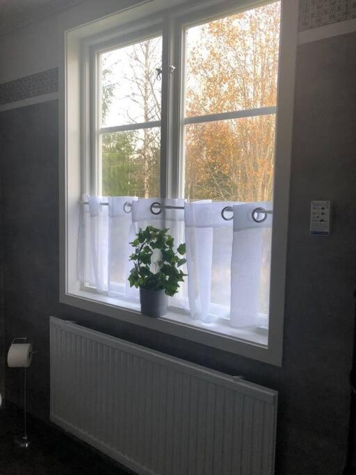 Sommardröm