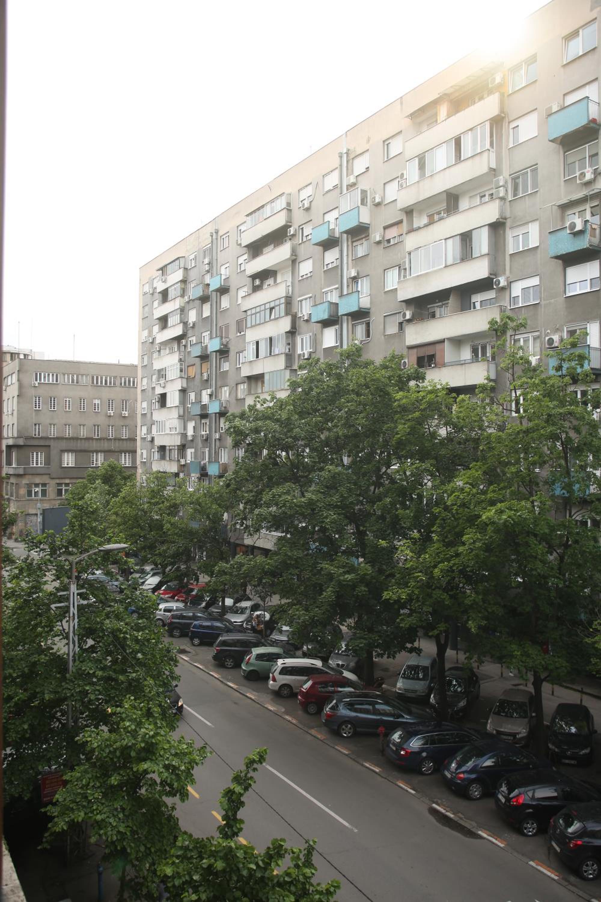 Photo 53