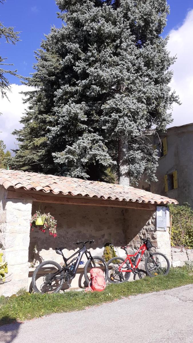 Photo 23