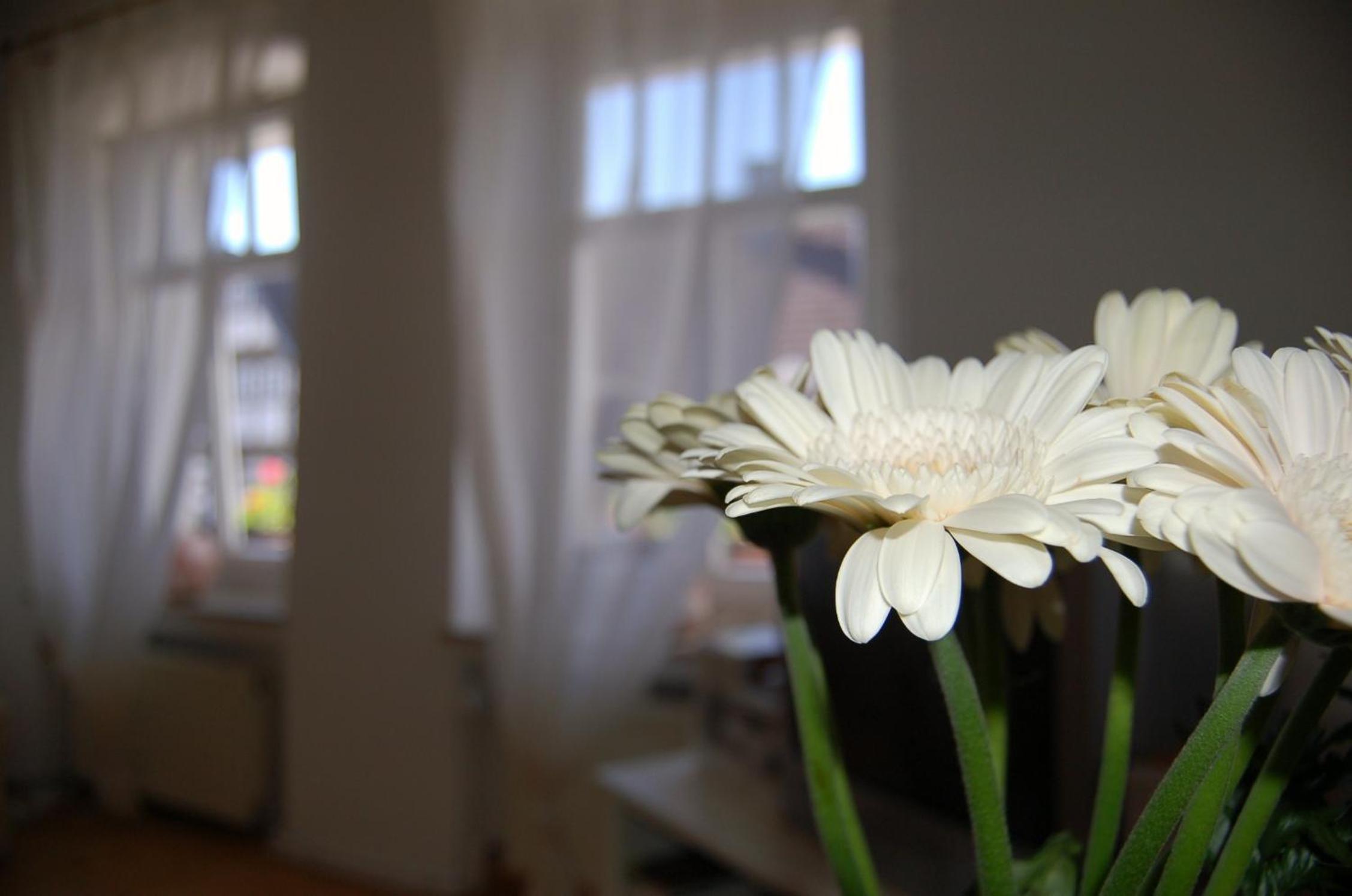 Ferienwohnungen Café Cup