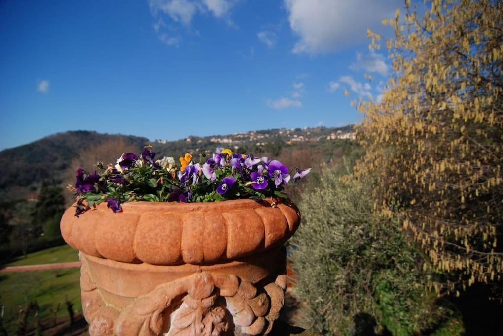 Conca di Sopra Home