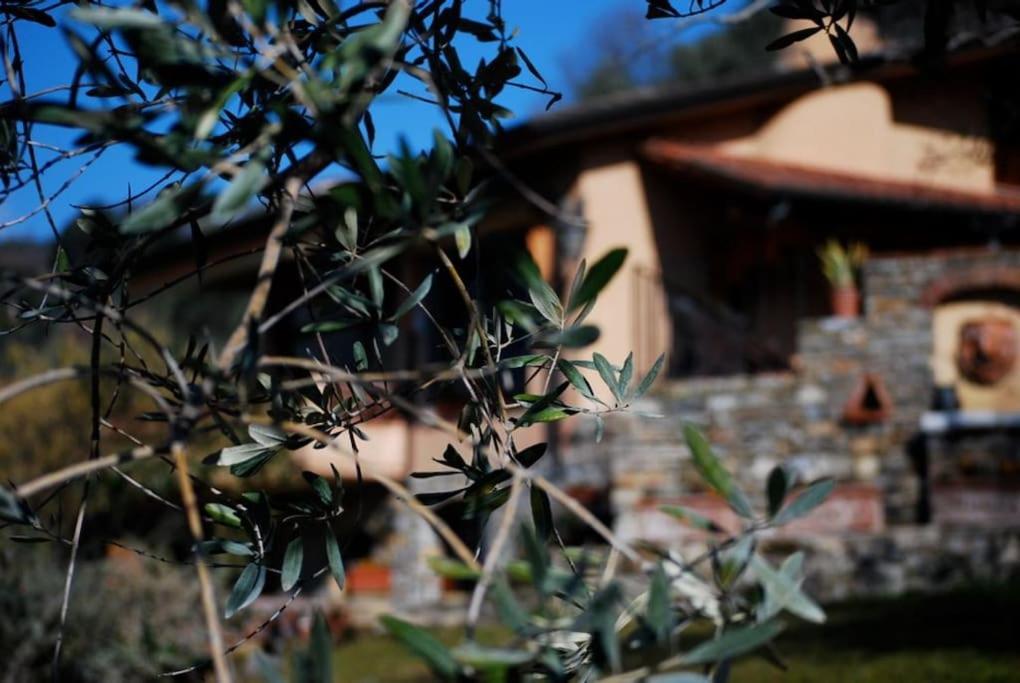 Conca di Sopra Home