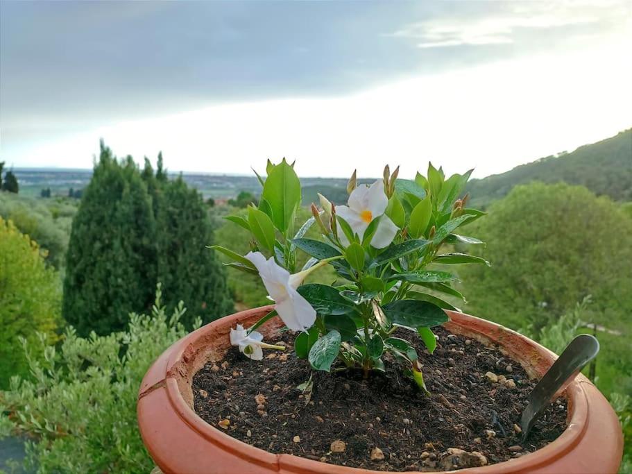 Conca di Sopra Home