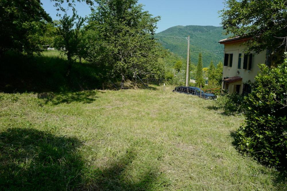 Photo 44