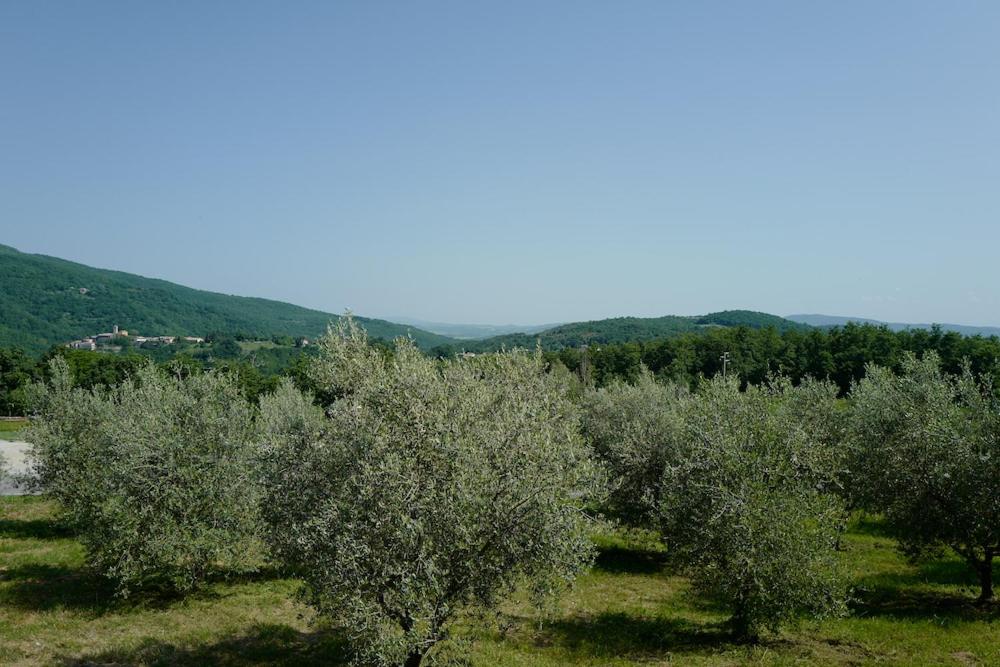 Photo 40