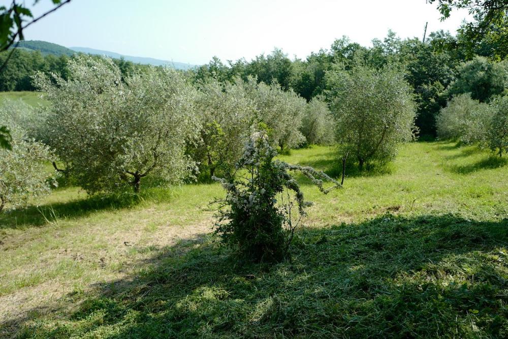 Photo 35