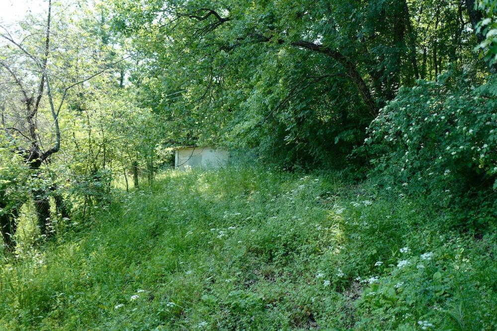 Photo 51