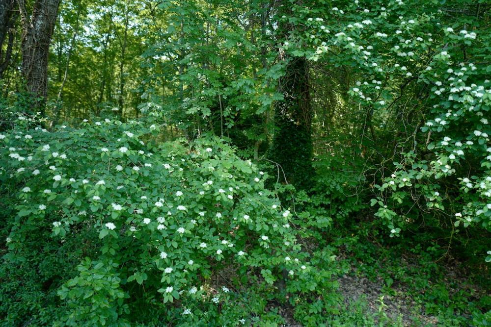 Photo 49