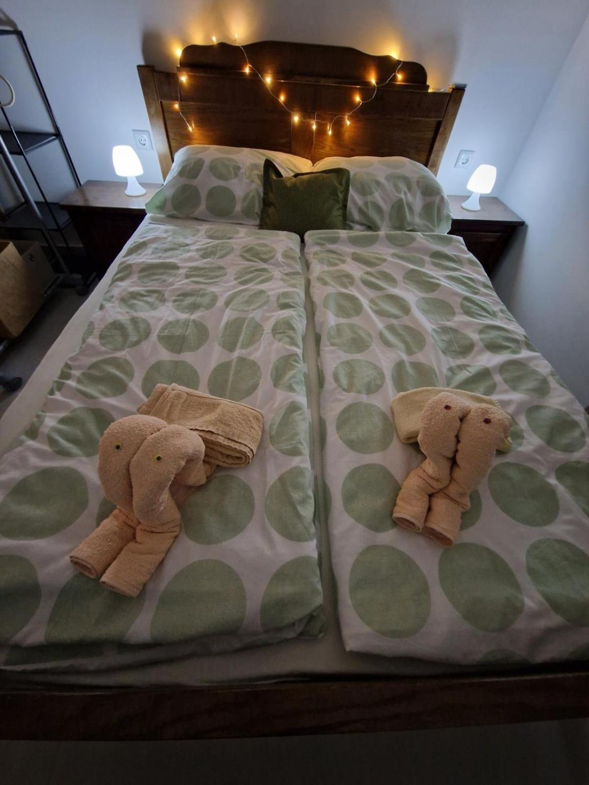 Apartmani studio apartmani Senjska maslina