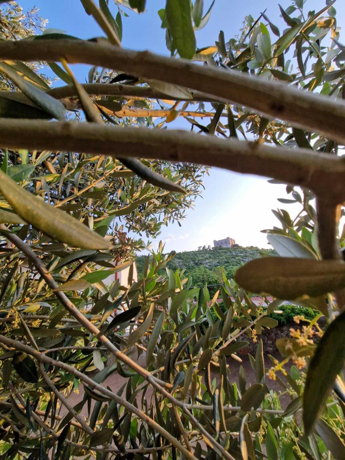 Photo 108