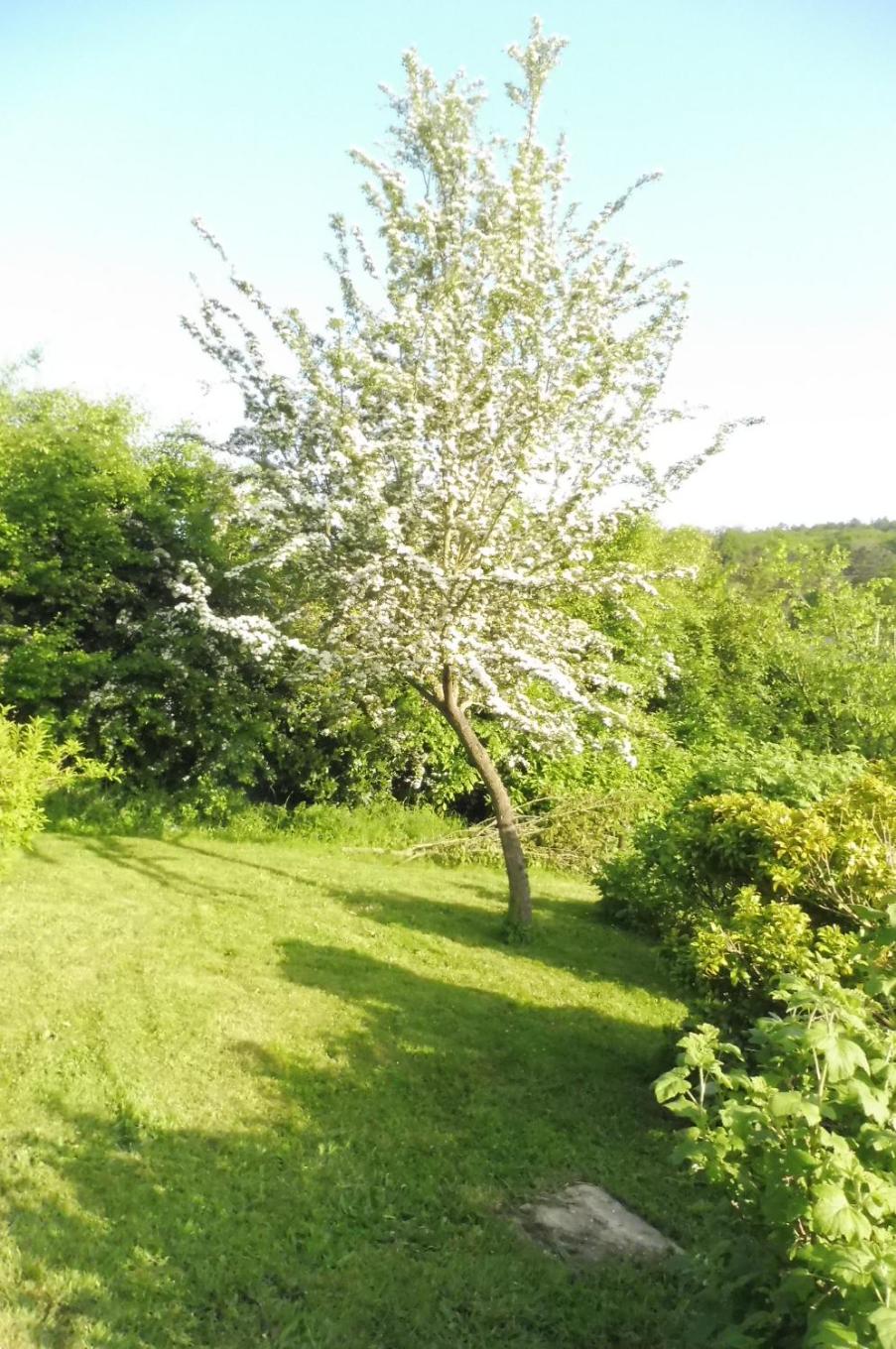 La Lustinoise