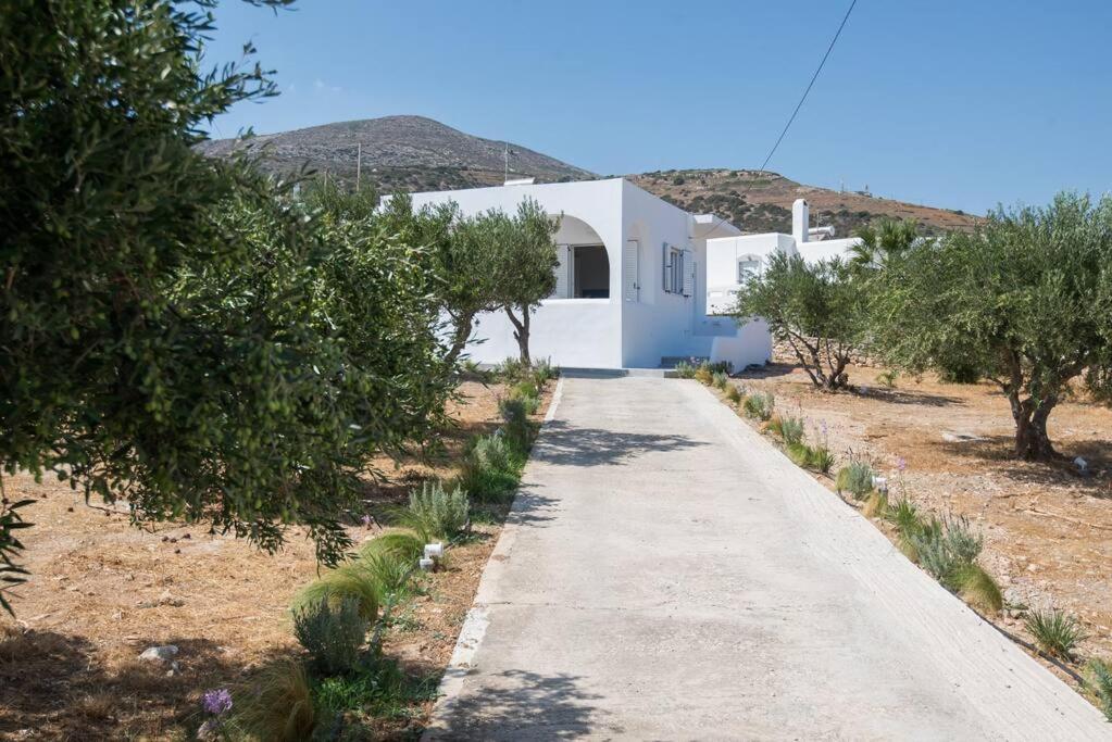 MFP Dryos Paros House Project photo 2