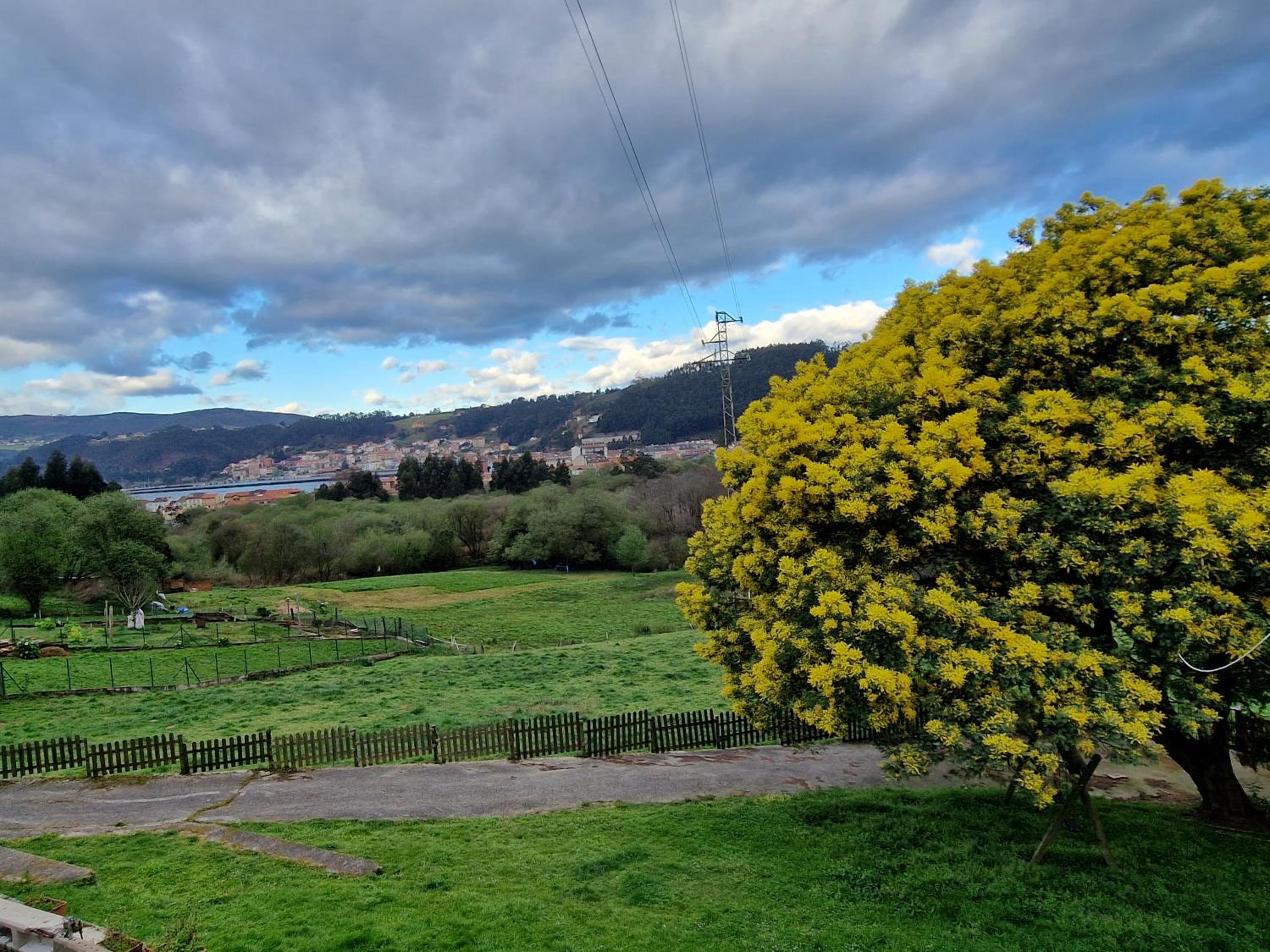 Complejo Rural Las Mimosas del Nalon