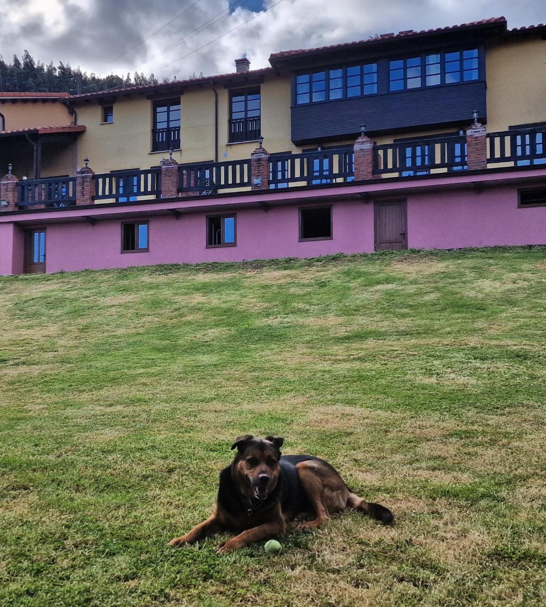 Complejo Rural Las Mimosas del Nalon