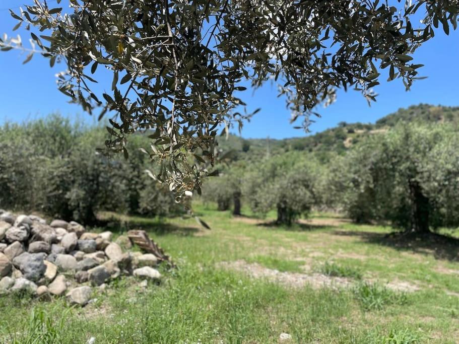 Sicily Stone Cottage with swimming pool