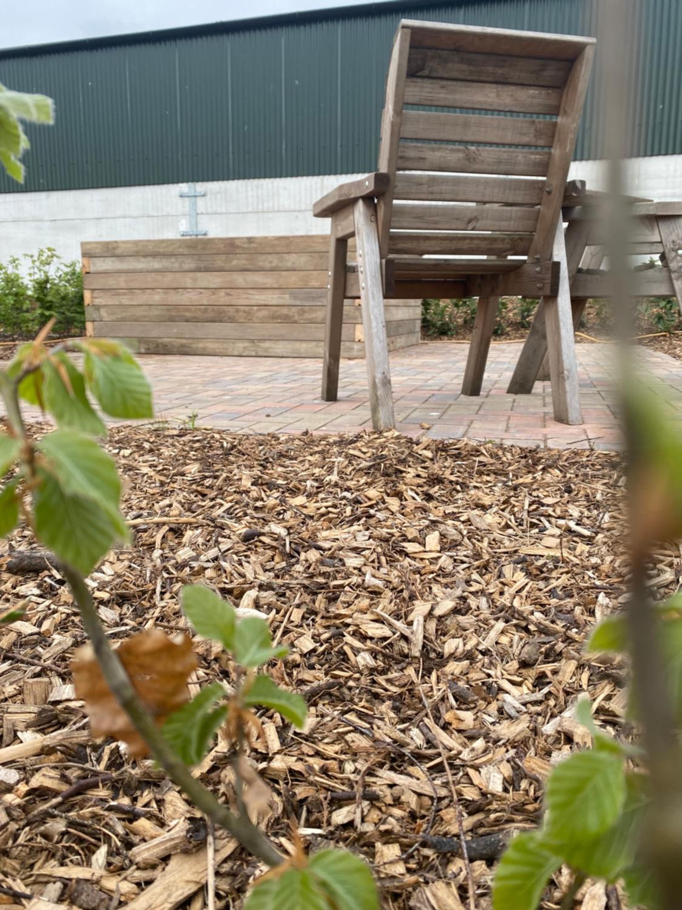 Photo 21