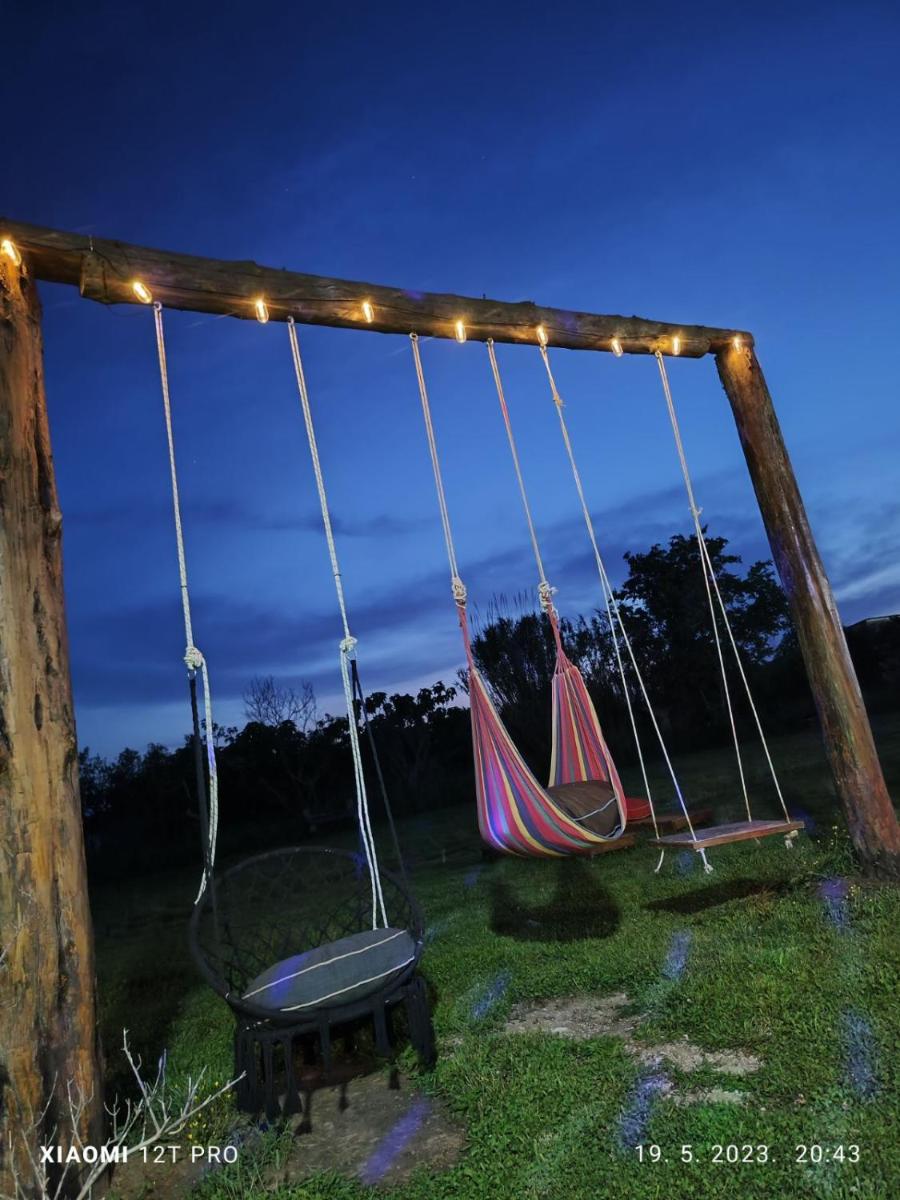 Photo 55