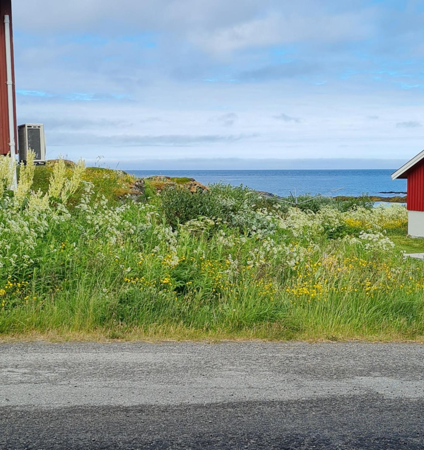 Liten leilighet i Berlevåg view 2
