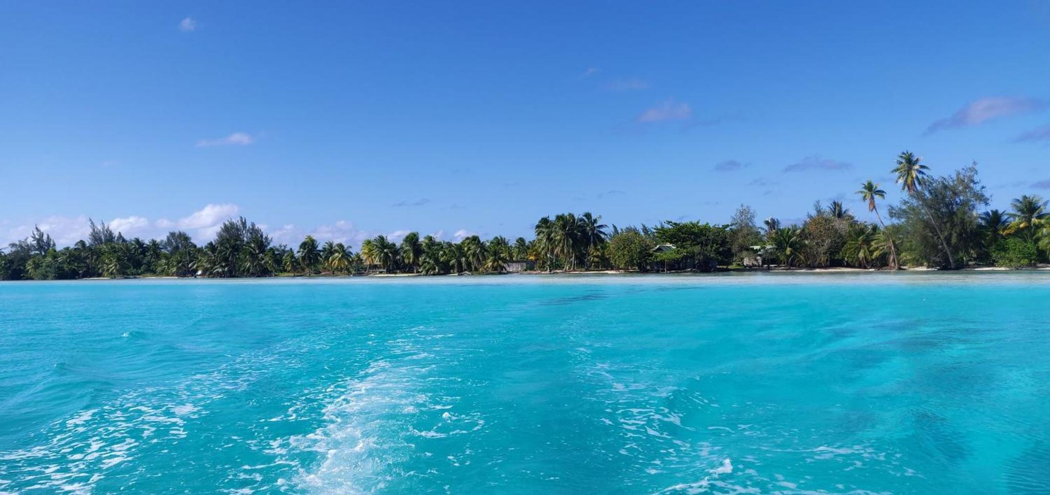 ALAROOTS HUAHINE