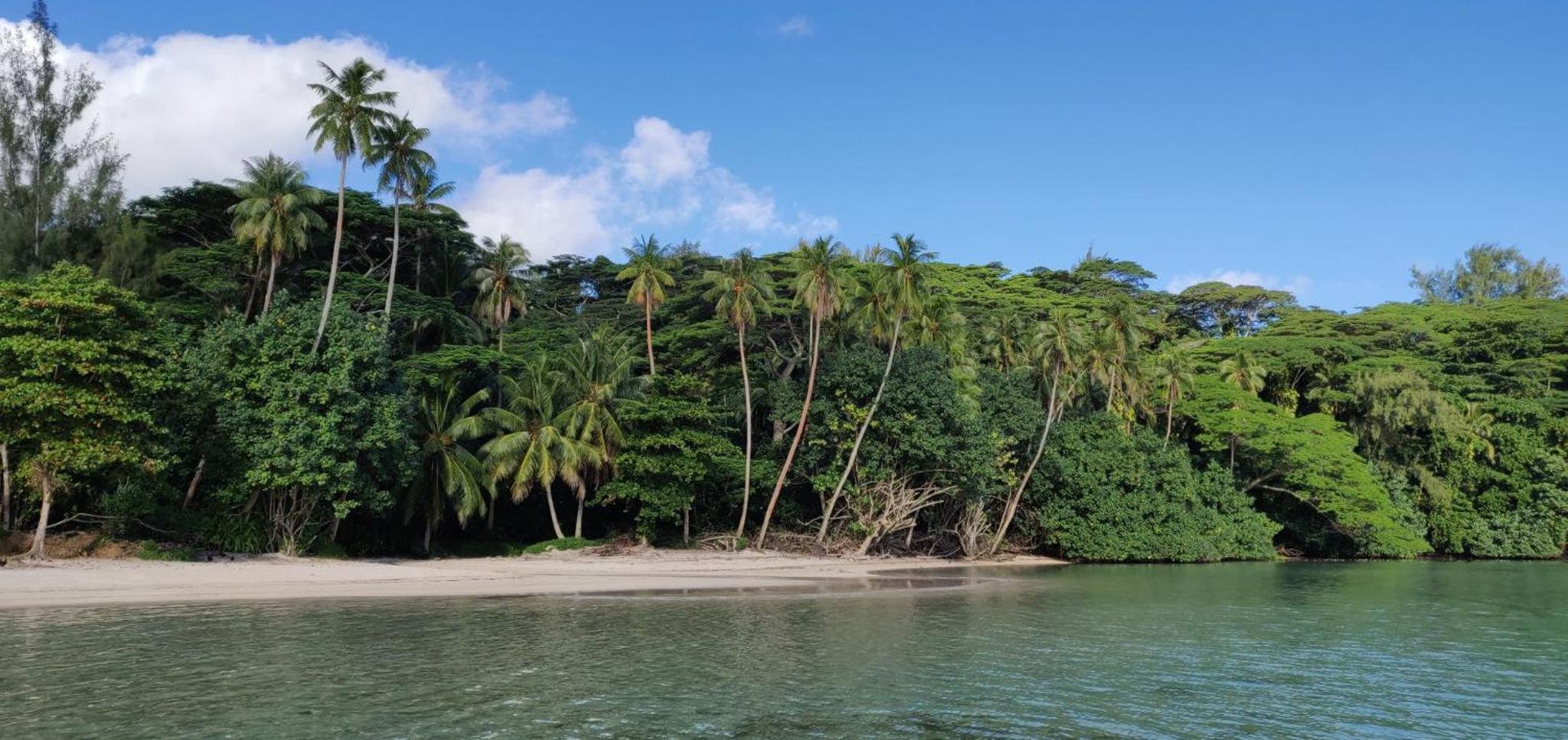 ALAROOTS HUAHINE
