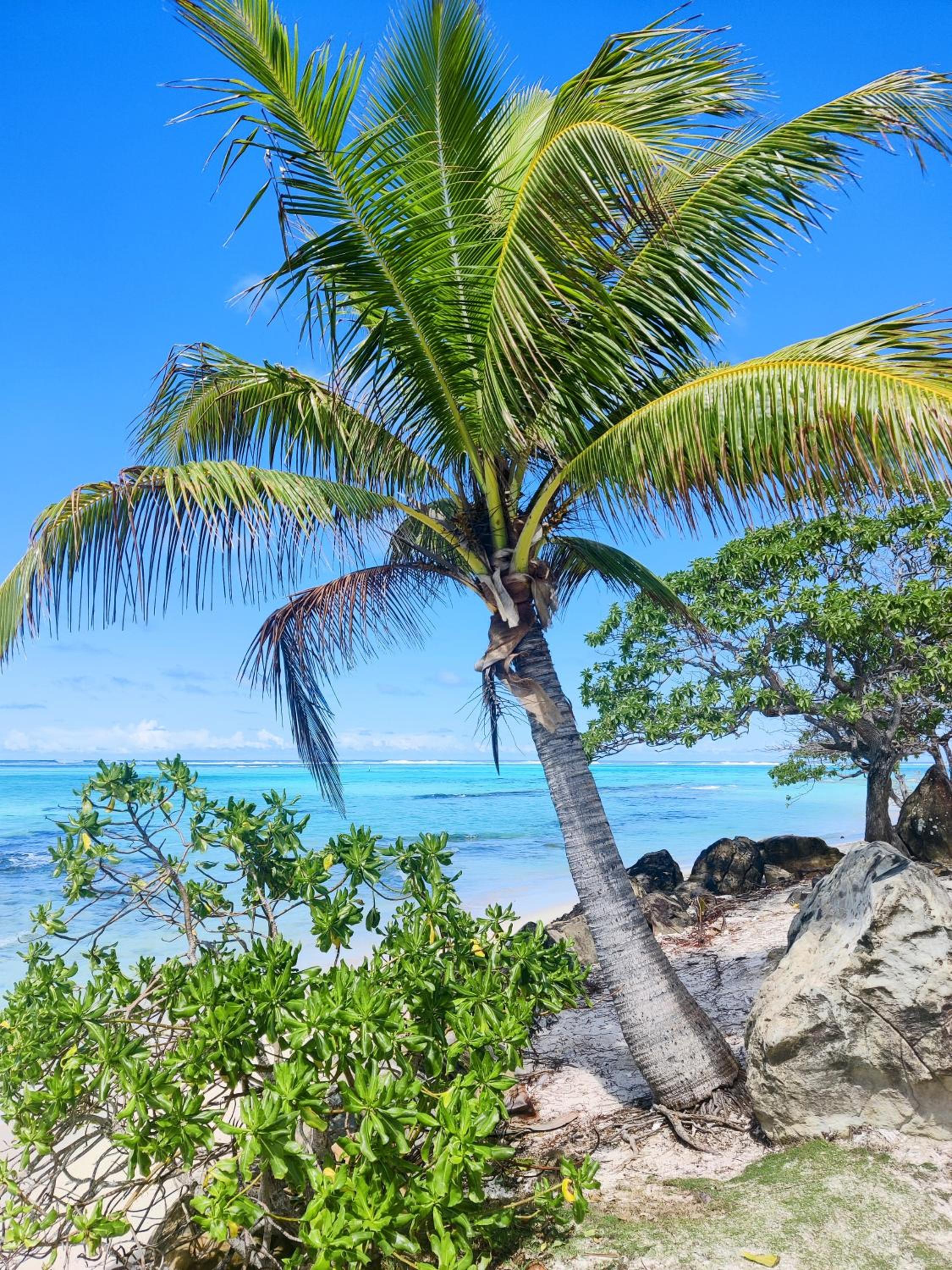 ALAROOTS HUAHINE