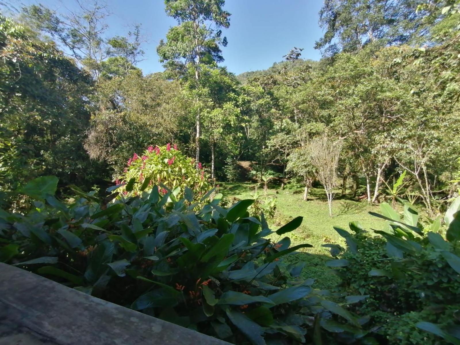 La Chonta