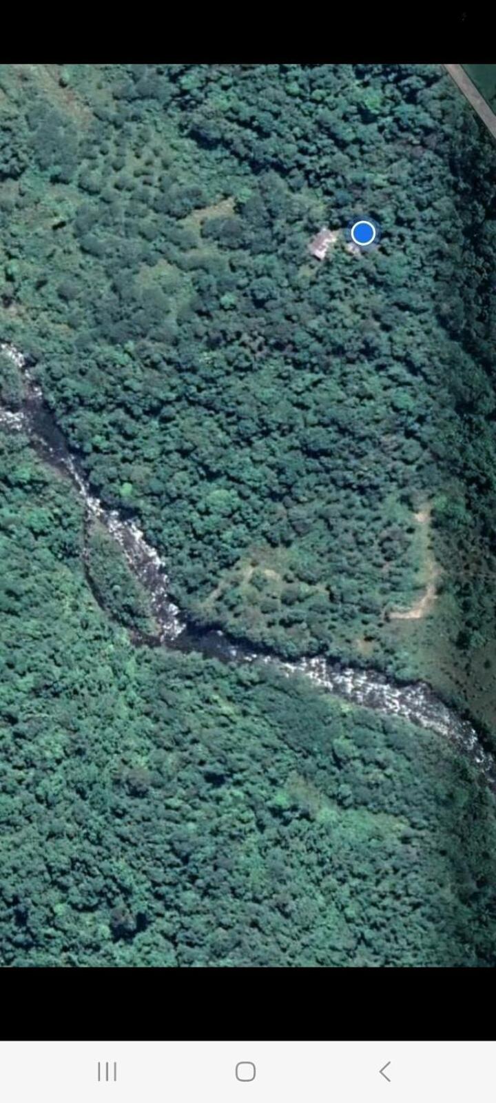 La Chonta