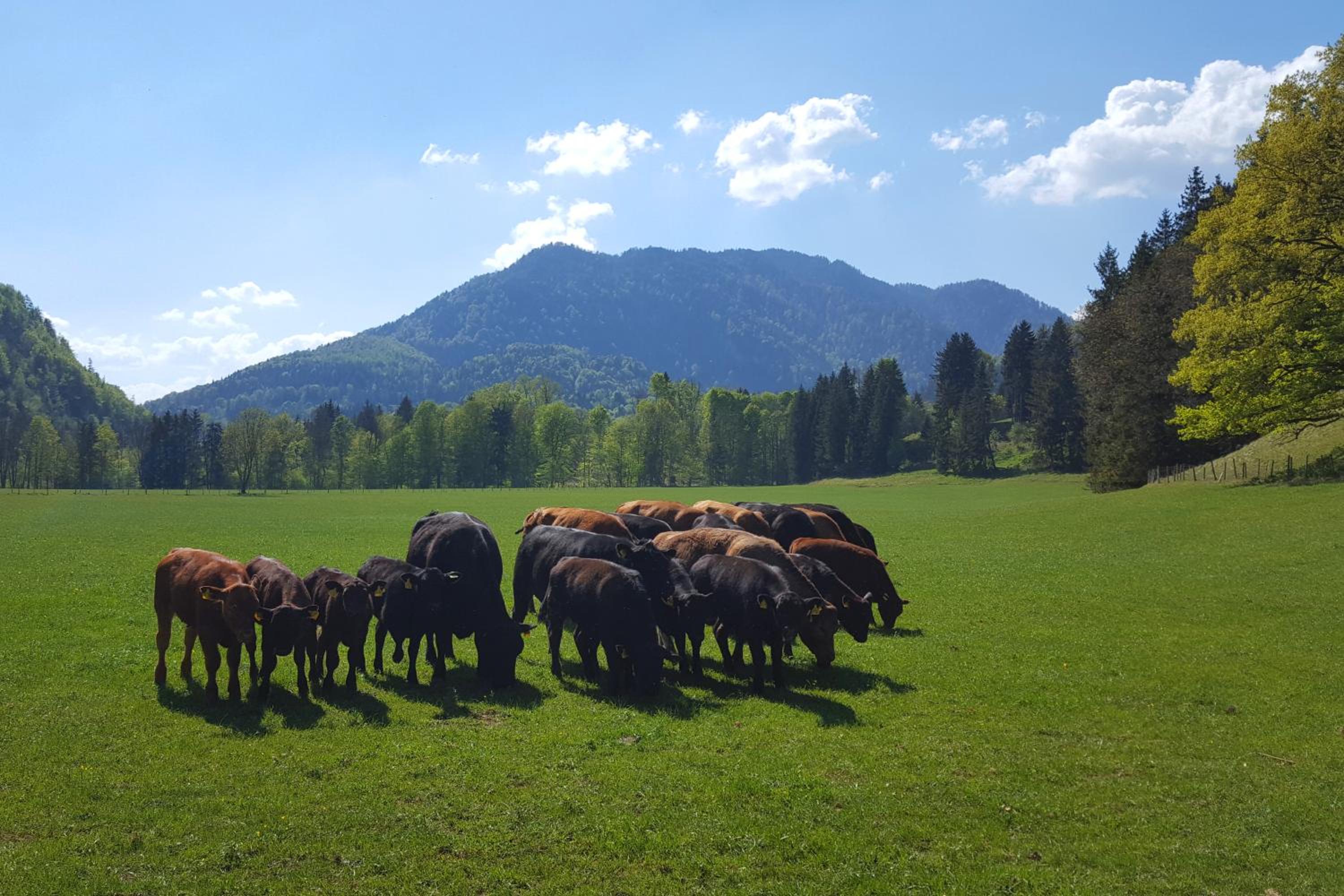 Bleierhof