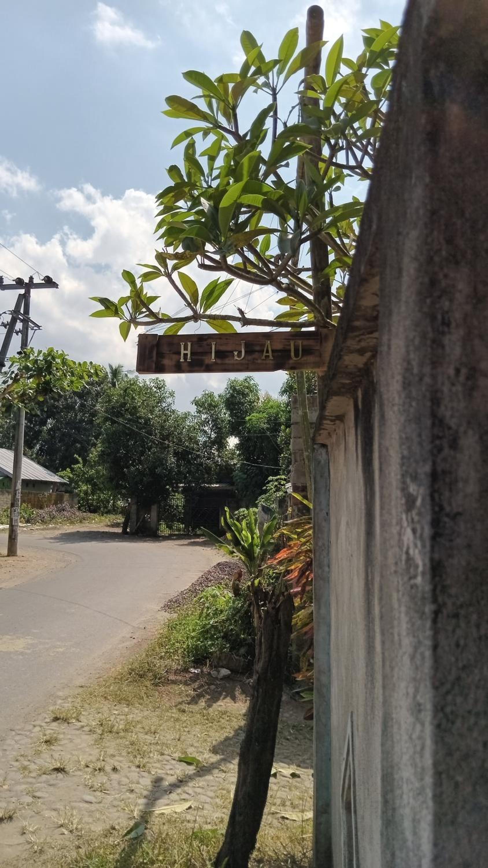hijau