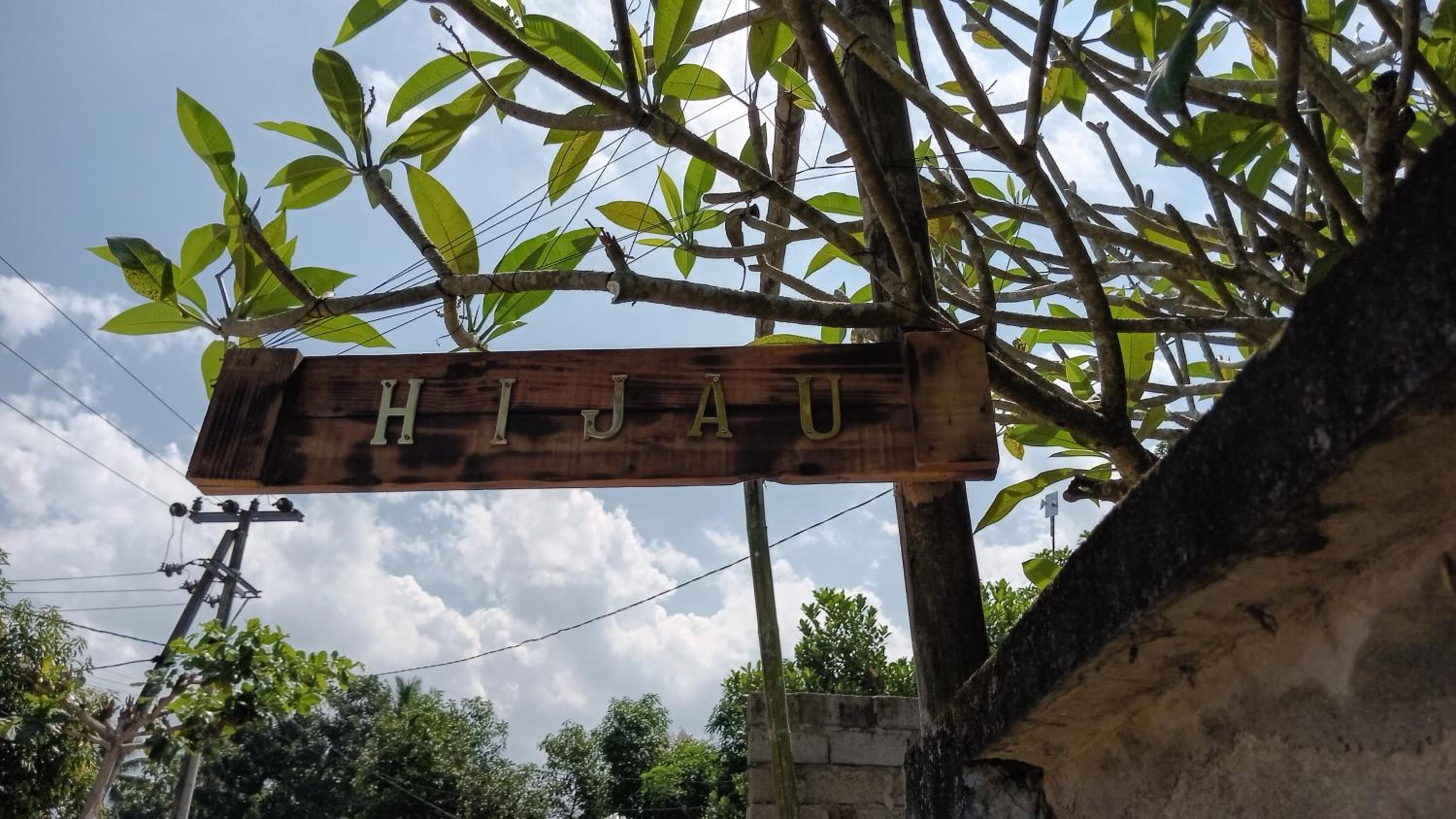 hijau