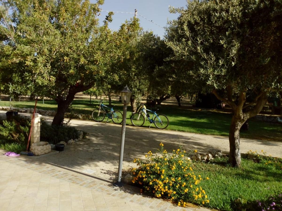 Il Poggetto Marzamemi B&B view 3