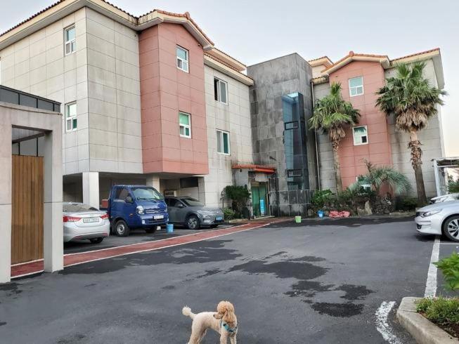 Sky Oreum Pension view 5