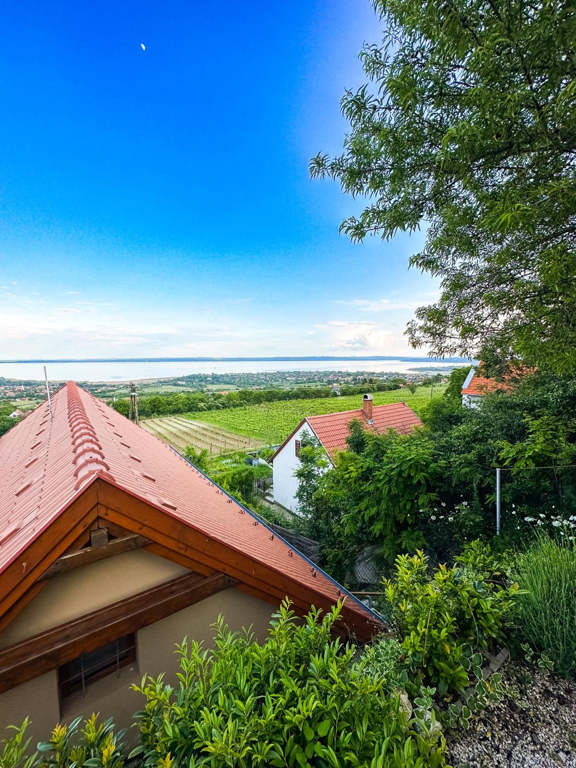 Panoráma Csopak