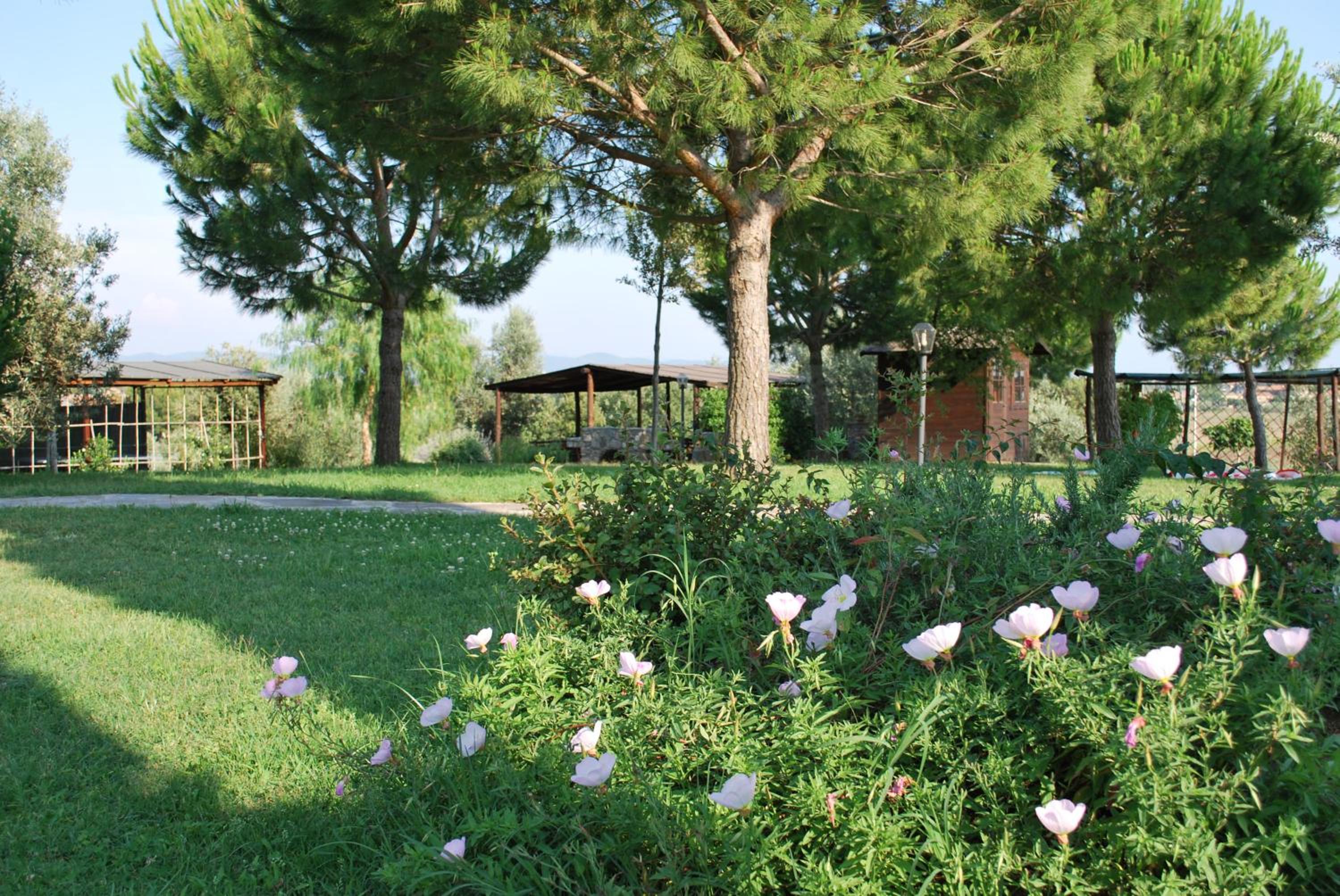 Photo 27